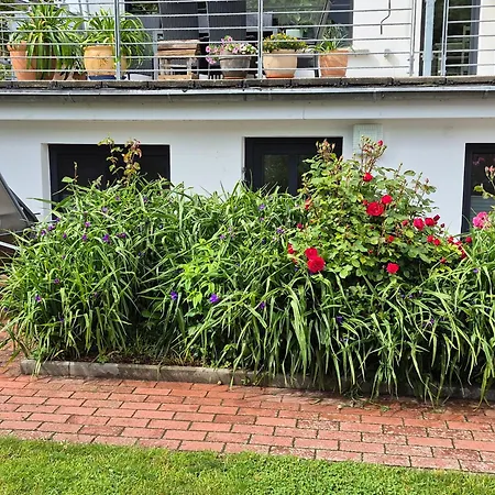 Apartment Bischof Graal-Mueritz